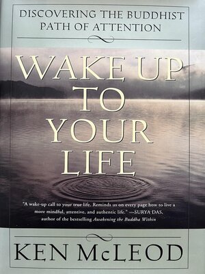 cover image of Wake Up to Your Life